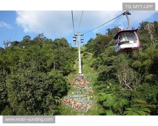 云顶赌场地址及周边交通指南，助您轻松规划前往路线和行程安排