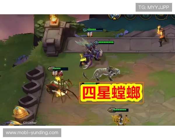 云顶40%全能吸血英雄搭配指南打造无敌续航战队