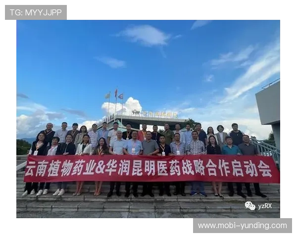 云顶集团有限公司简介:公司使命愿景与未来发展战略深度解析 云顶集团有限公司简介:公司使命愿景与未来发展战略深度解析