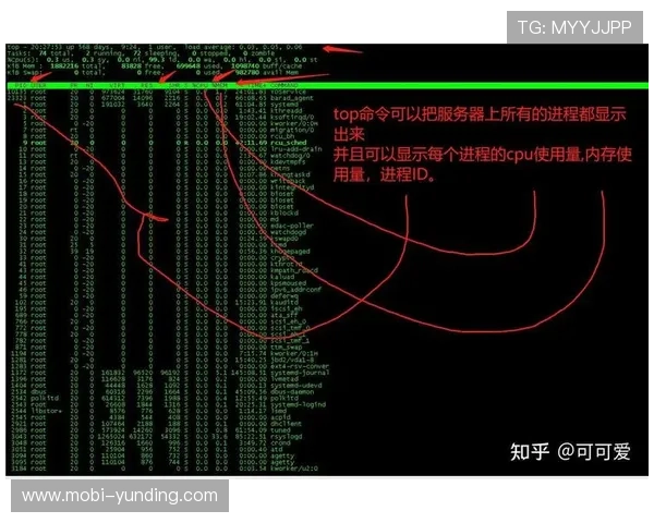 遇到云顶登录不上怎么办？详细排查步骤与解决方案