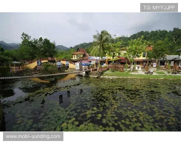 马来西亚云顶有限公司的社会责任与可持续发展实践介绍