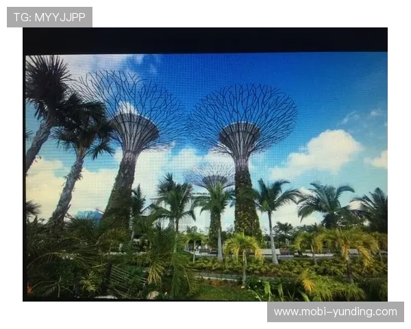 马来西亚玩家必看云顶集团官网登录入口详细操作流程与常见问题解答