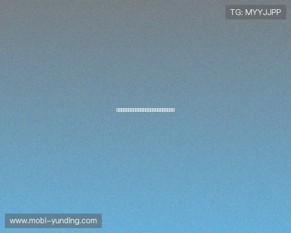 云顶网络在线平台的客户服务与技术支持体系全面介绍